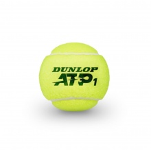Dunlop Tennisbälle ATP (Nitto ATP Finals) - Dose 24x3er im Karton